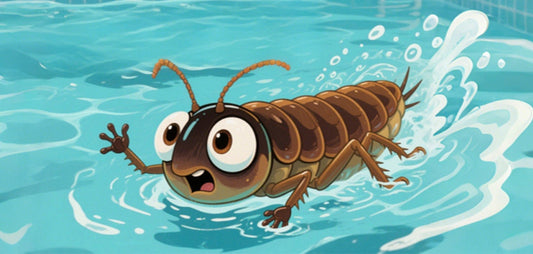 Banishing Pool Bugs: Keep Your Water Crystal Clear